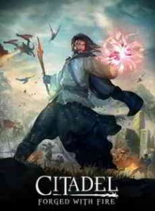 Citadel: Forged with Fire игра с торрента